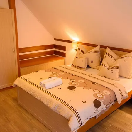 Tulipan Vendeghaz Guest house Orvenyes